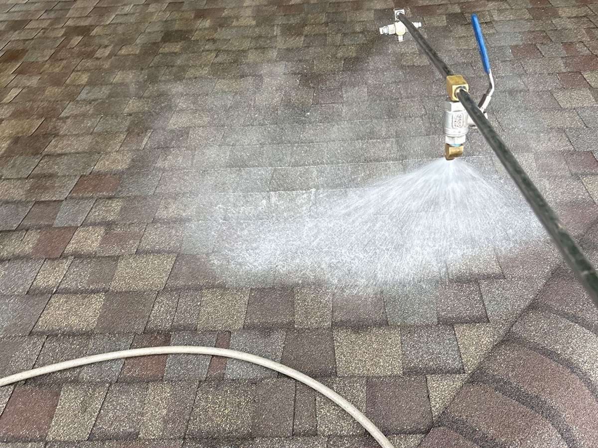 Roof Cleaning Services
