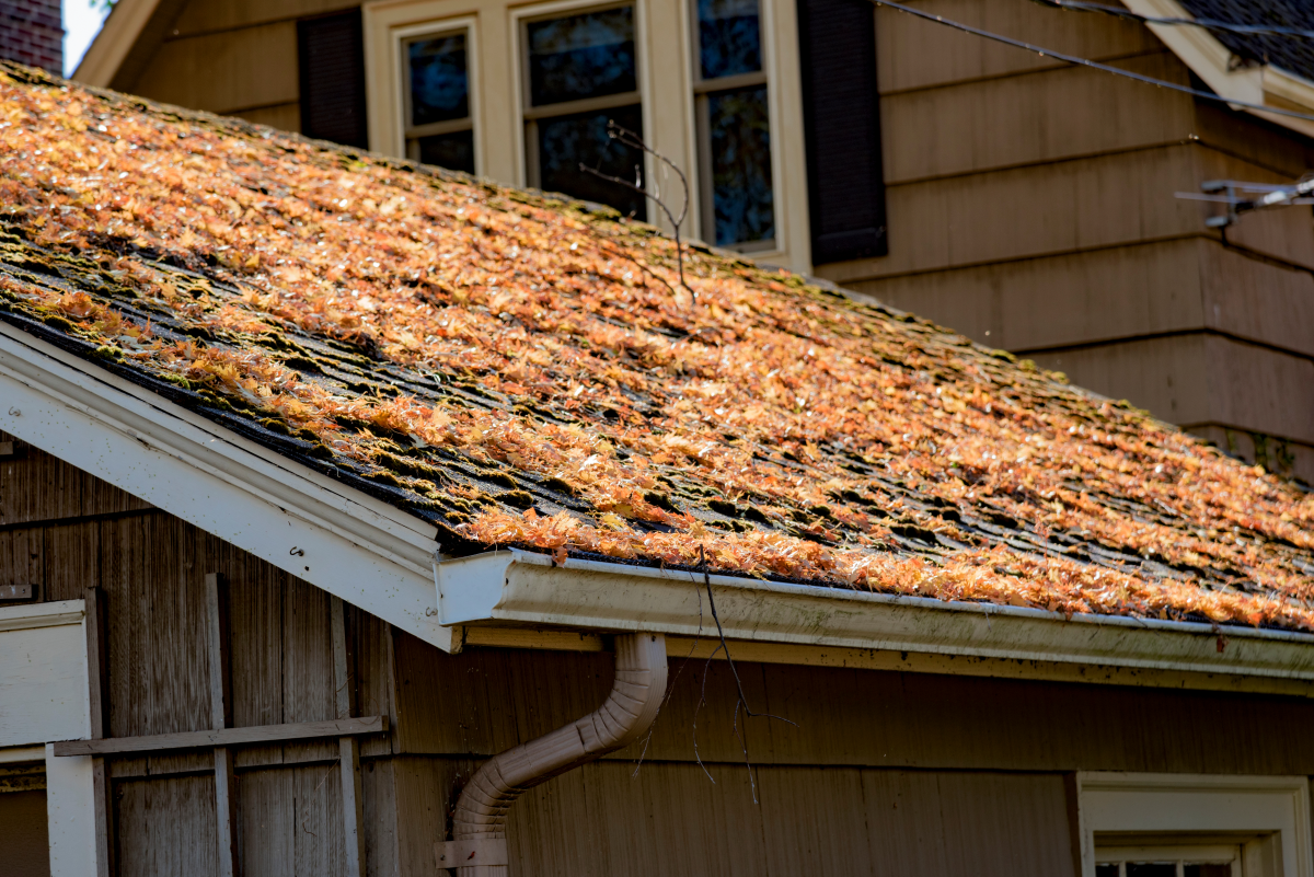 roof cleaning for selling home
