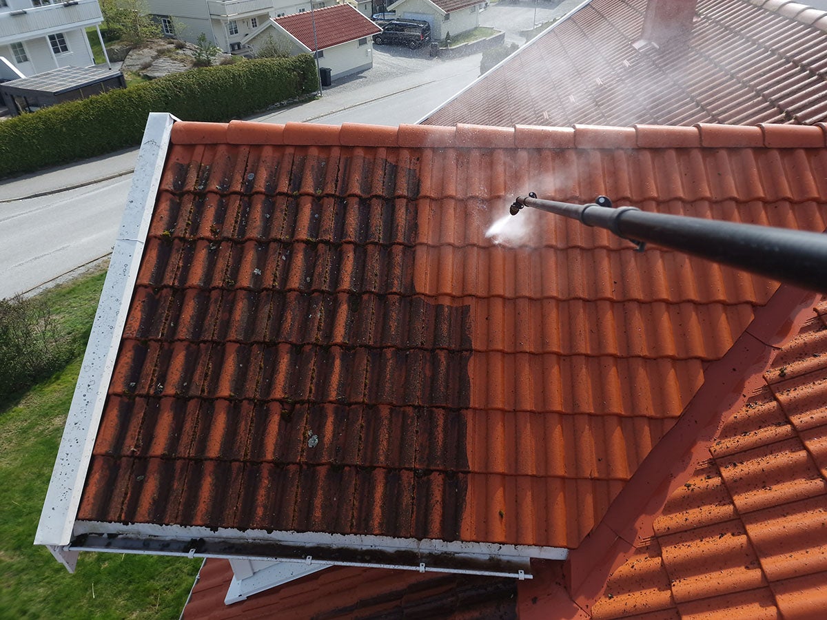 Roof Cleaning in Orion Township, MI
